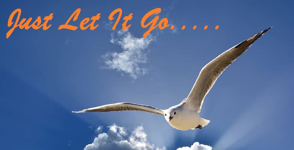 national let it go day